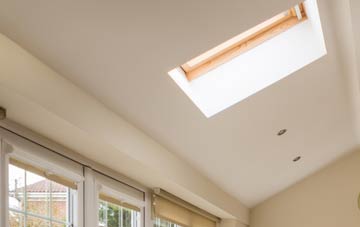Barepot conservatory roof insulation companies