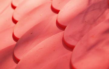 Barepot plastic roof costs